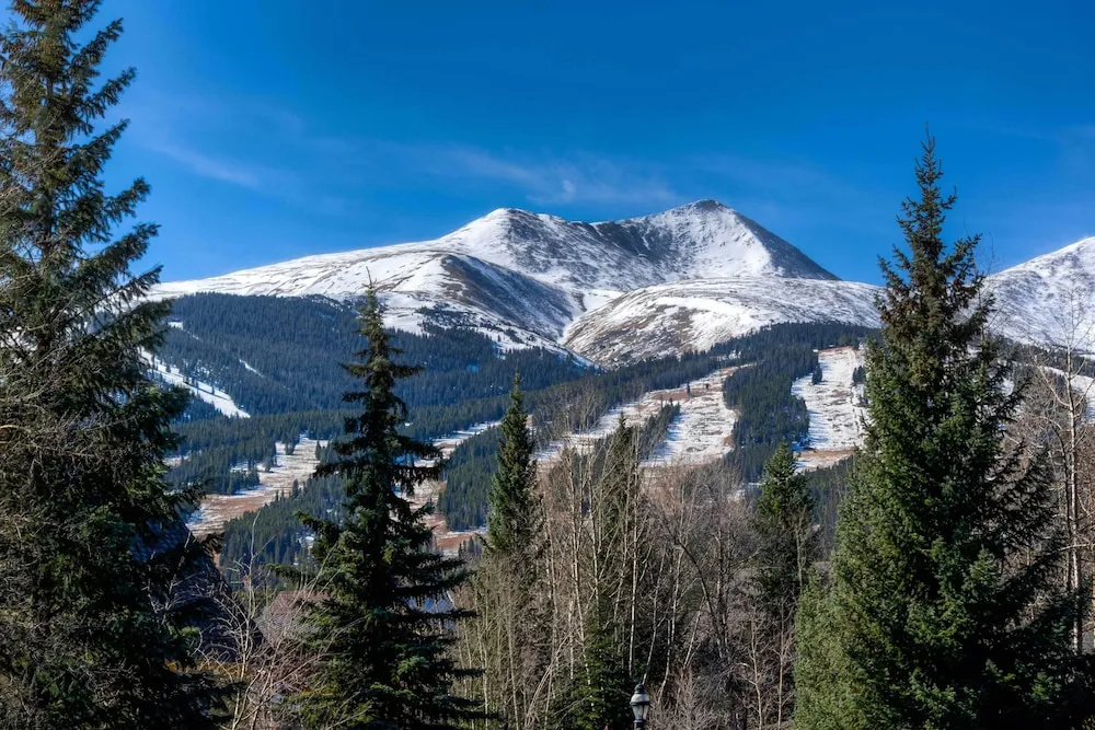 Downtown Breckenridge Cottage: Walk to Main St!