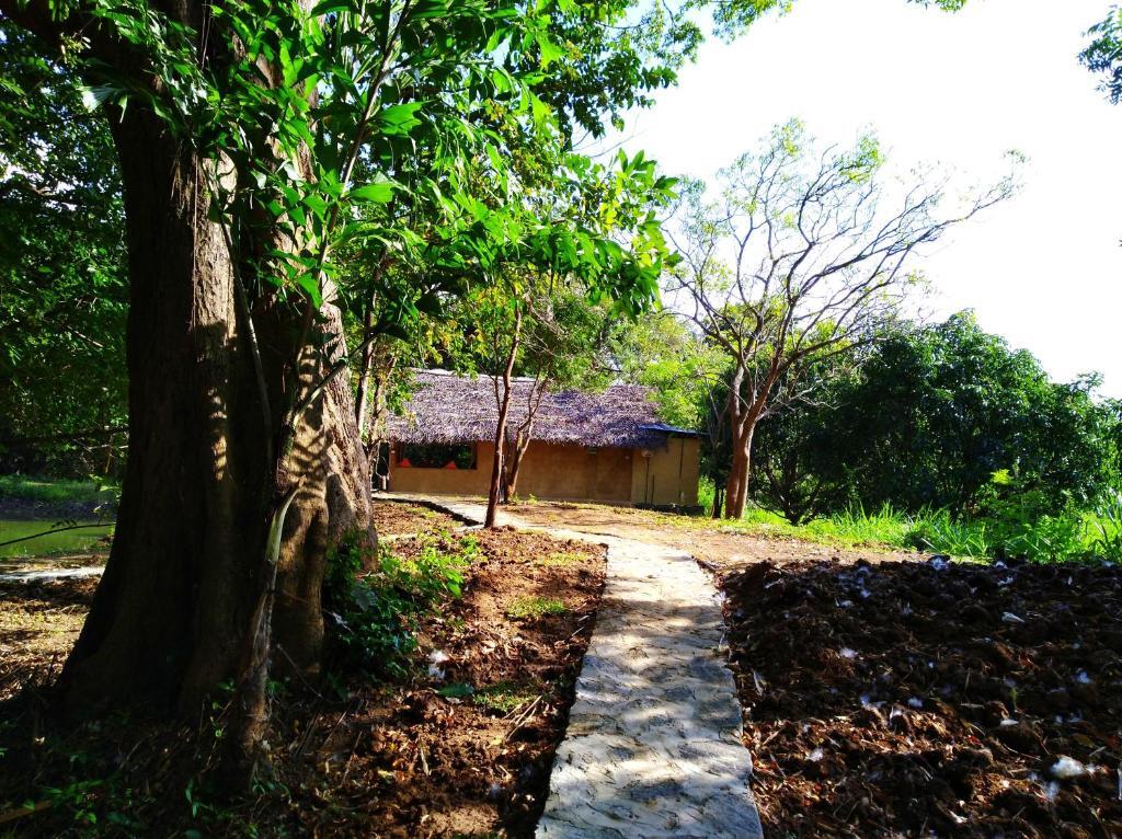 Raintree