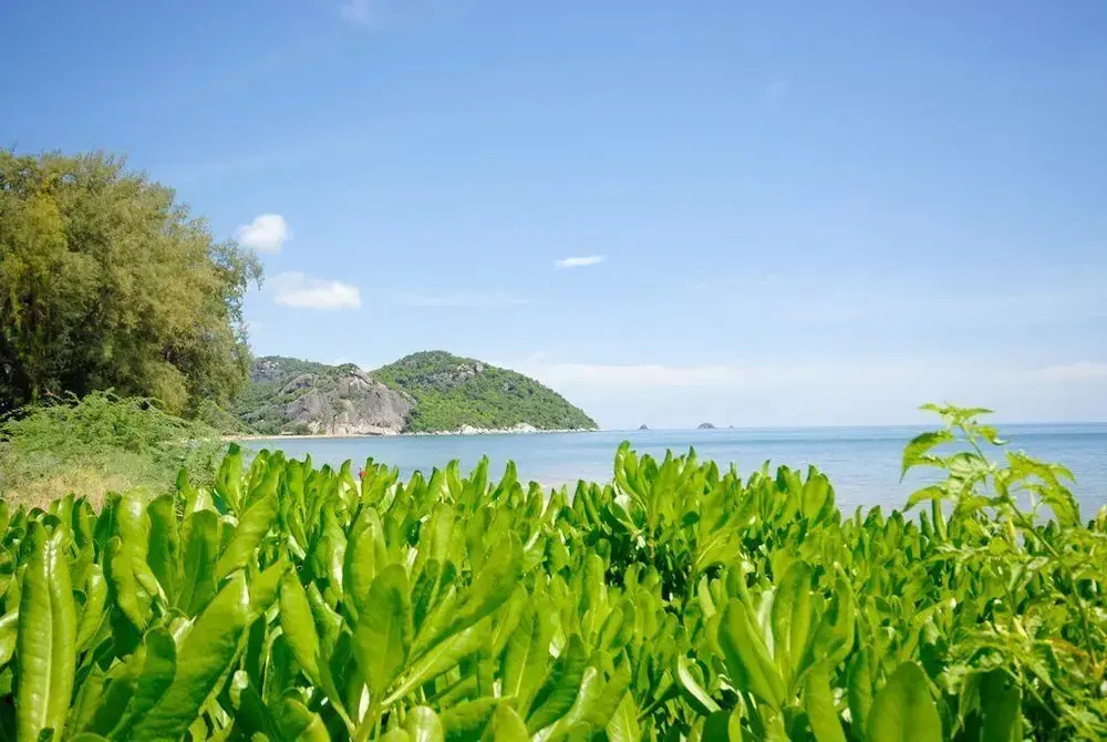 4 Bed Beachfront Condo SP43
