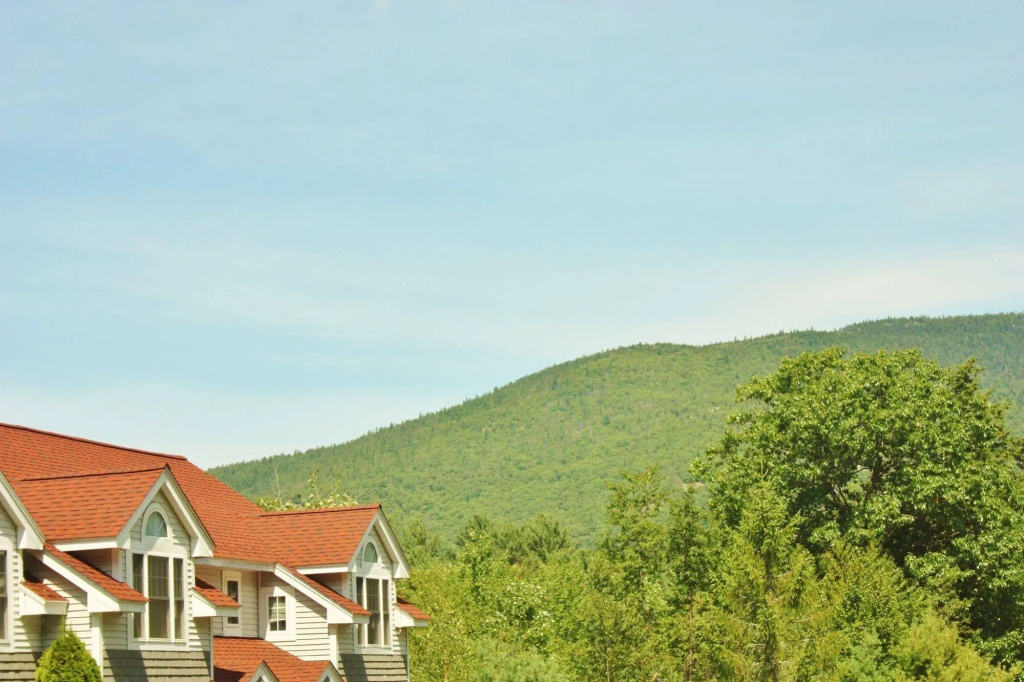 Mountain View Resort - фото 14