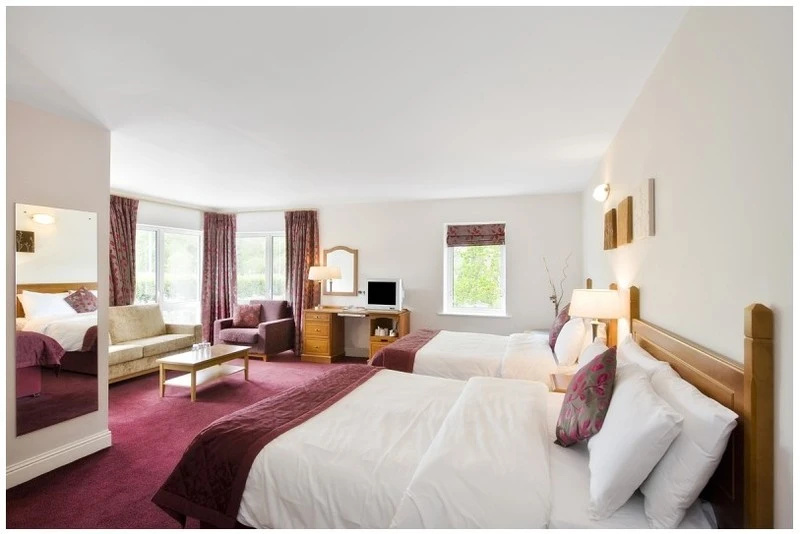 Wilton Hotel Bray - Chambres