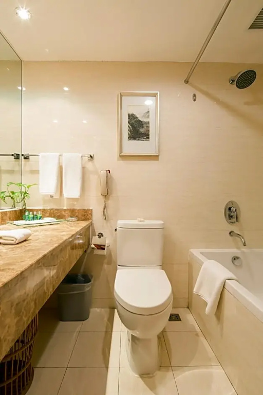 Landison Plaza International Hotel Zhenjiang - Chambres