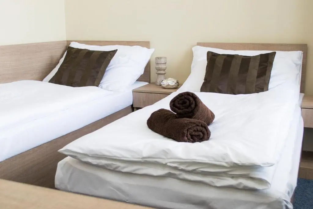 Penzion S Wellnes Uherske Hradiste - Chambres