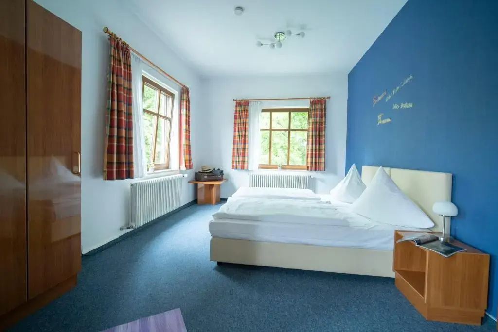 Deluxe Double room (full double bed)