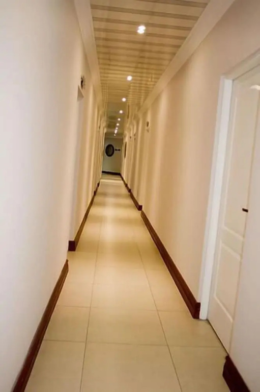 Classique Grace Boutique Hotel - фото 10