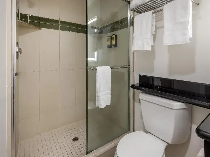 Best Western Plus Executive Suites - Chambres