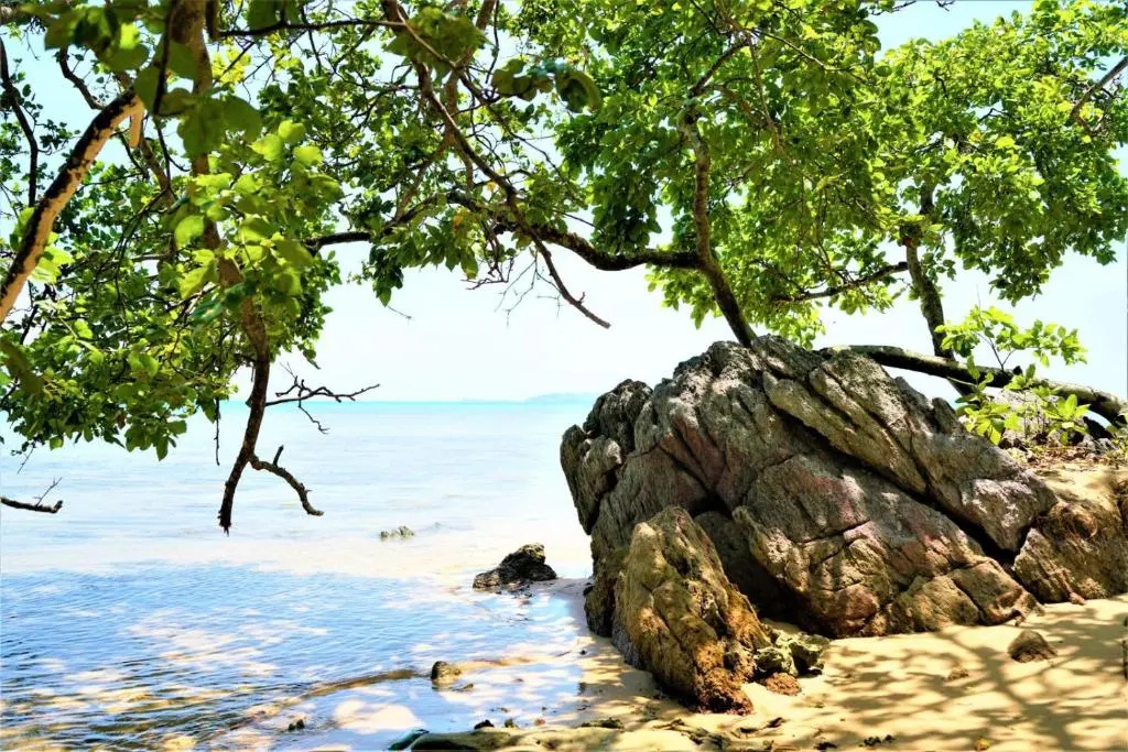 Beach & Waterfront