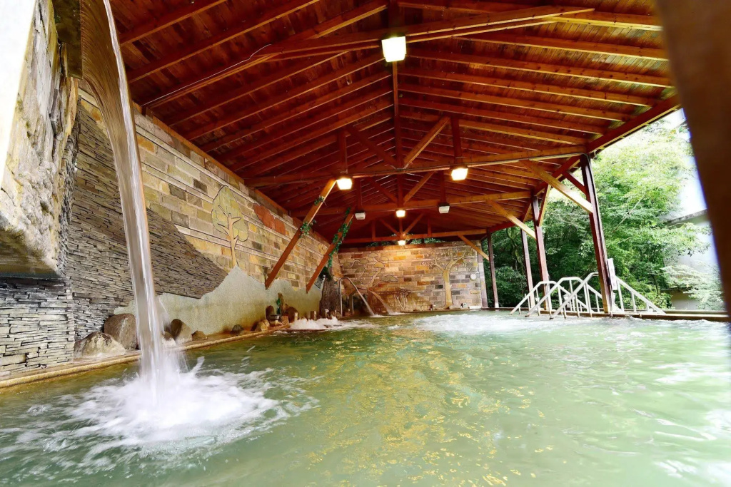 Jenq Yang Hotspring Hotel - Général