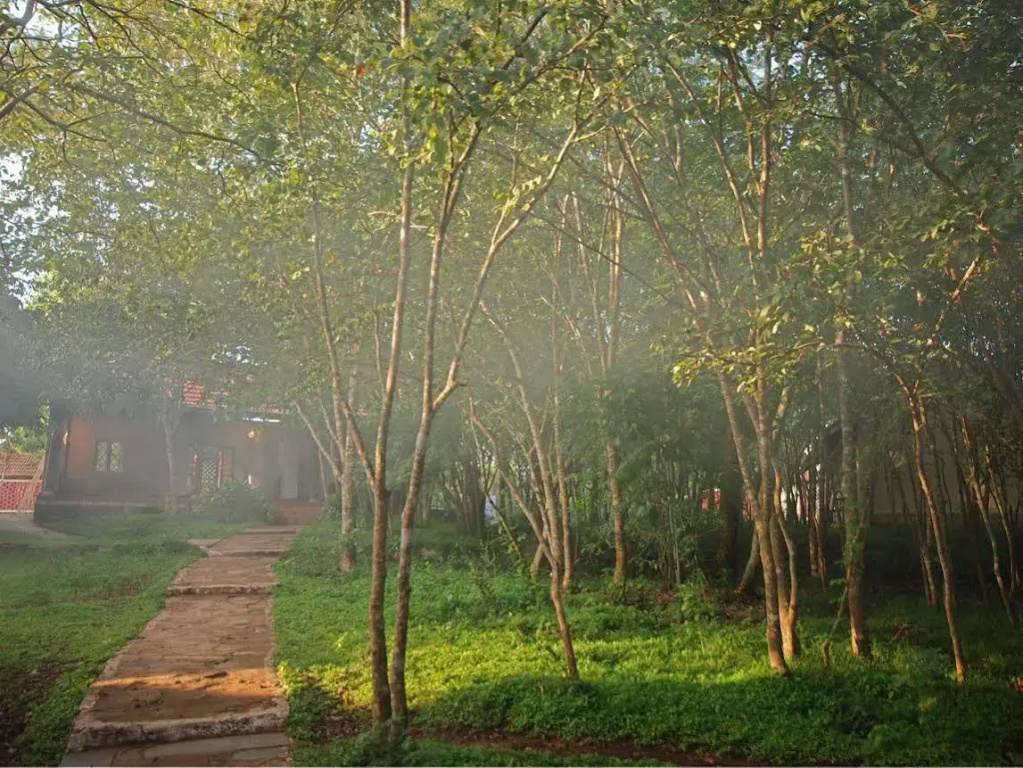 The Windflower Jungle Resorts and Spa