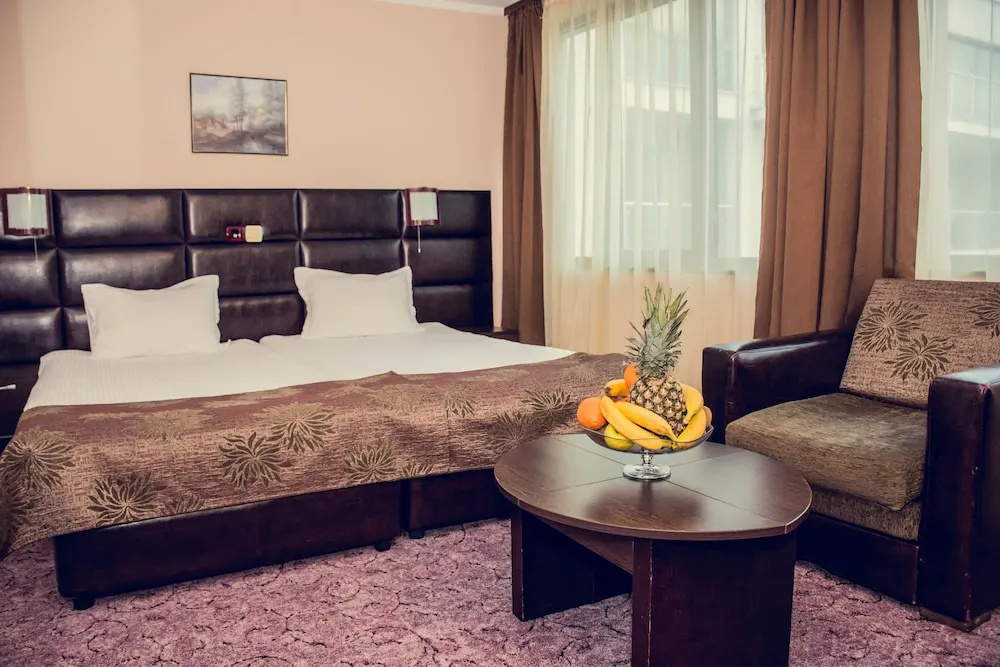 Zdravets Hotel Wellness & SPA - Général