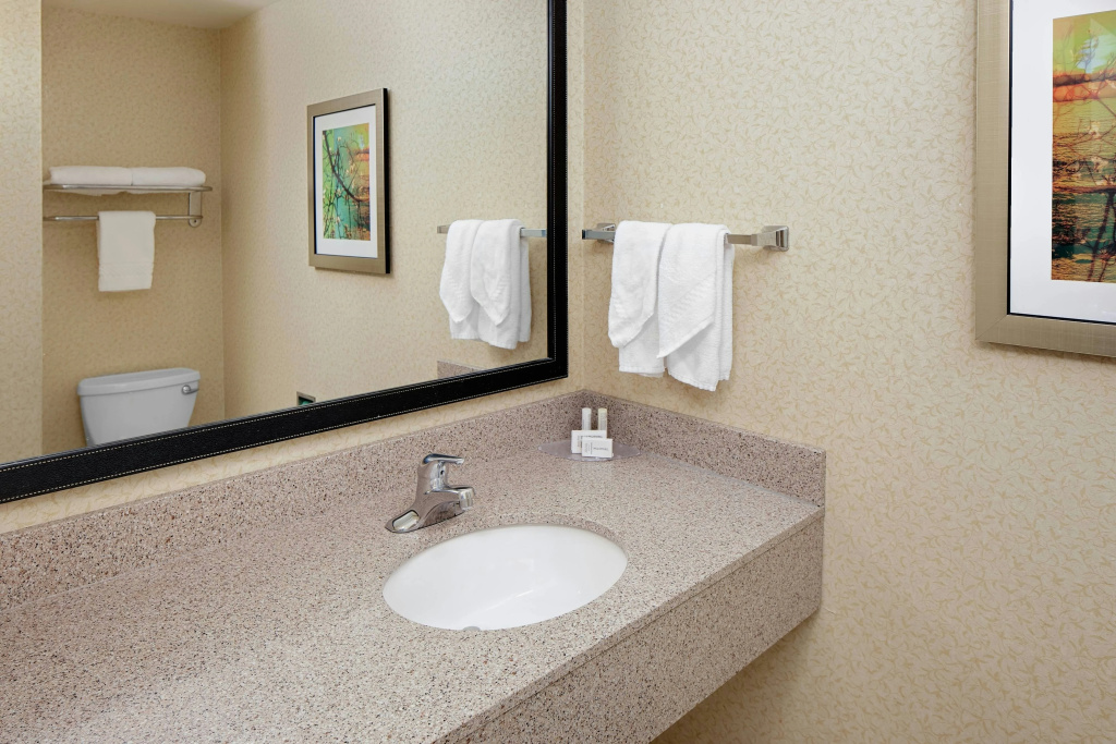 Fairfield Inn & Suites by Marriott Detroit Metro Airport Romulus - Général