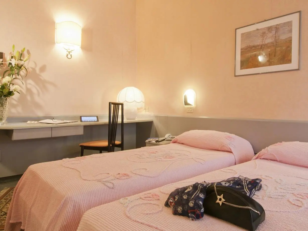 Economy Double room (twin beds)