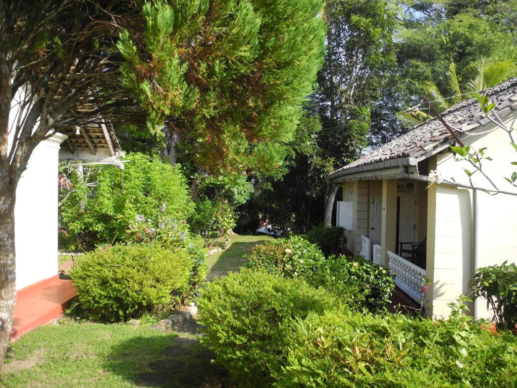 Top Of The Hill Guesthouse