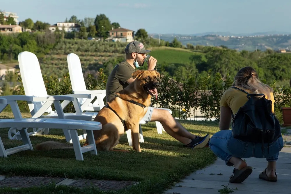 Residence Borgo Offida - фото 22