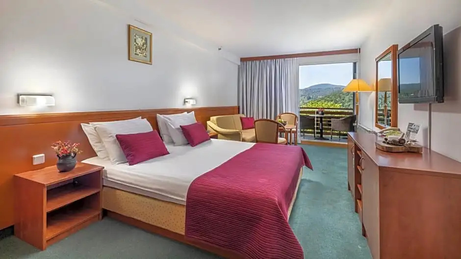 Hotel Jezero Plitvice Lakes - Chambres