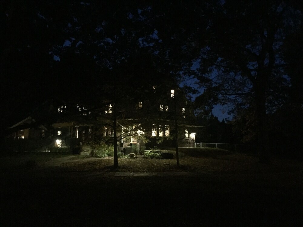 Image 11