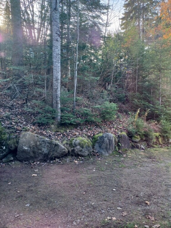Image 15