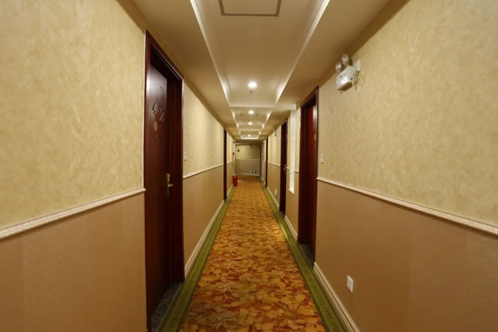 GreenTree Inn Jieyang North Linjiang Road Express Hotel - Général