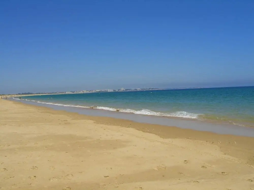 Vila Palmeira - Général