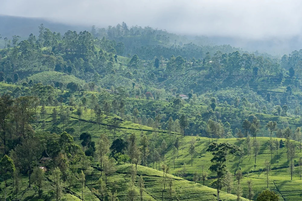 Langdale By Amaya Boutique Resort