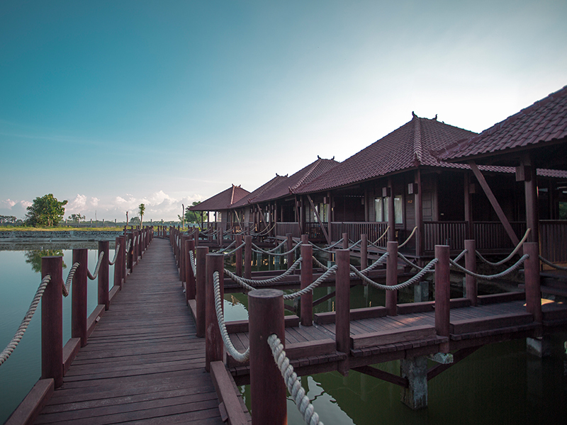 Cottage Wisata Paiton