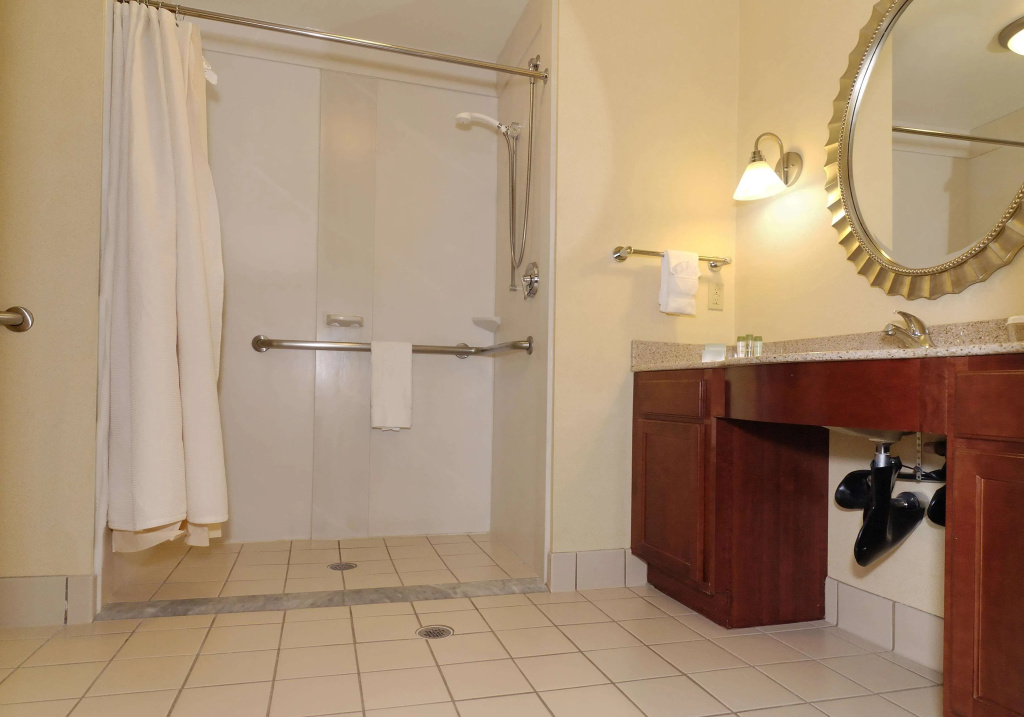 Embassy Suites by Hilton Dulles North Loudoun - Général