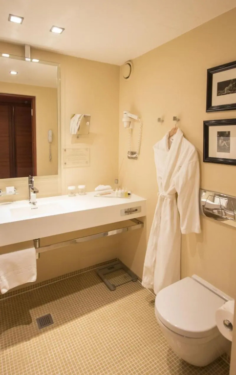 Executive Double room (full double bed)