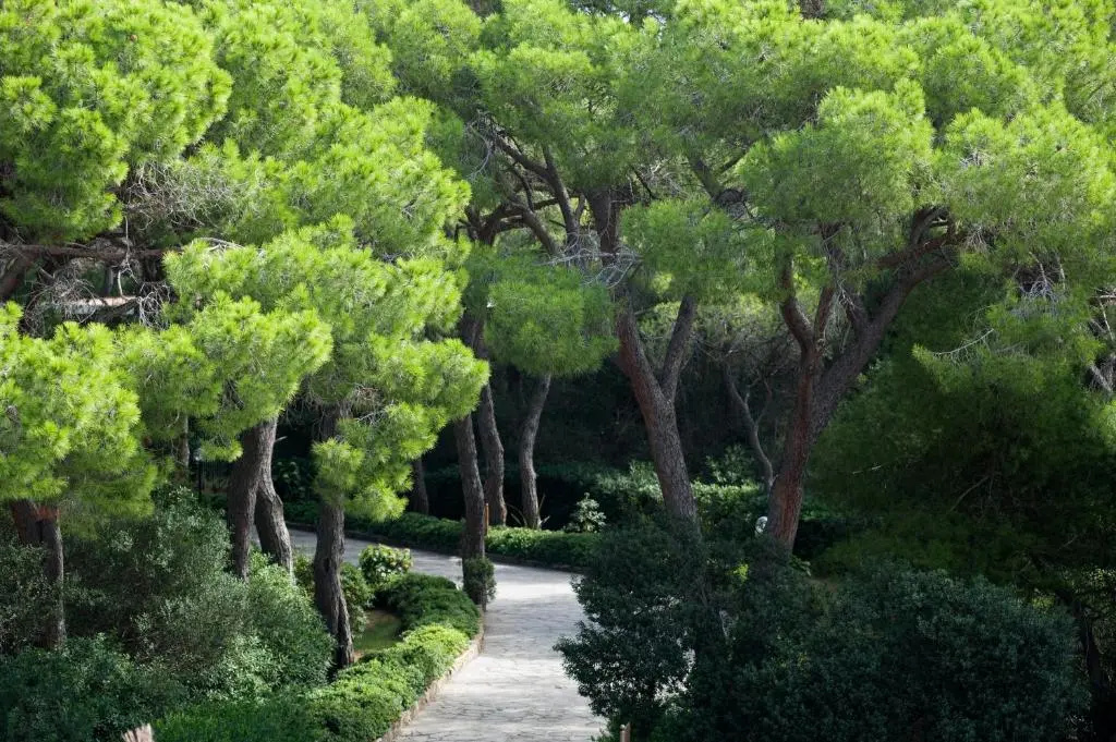 Roccamare Resort - Casa di Ponente - Chambres