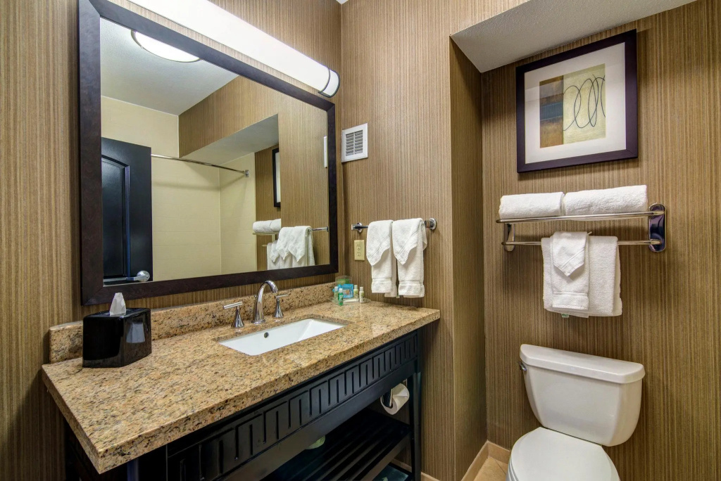 Holiday Inn Arlington NE-Rangers Ballpark by IHG - Chambres