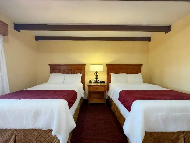 Standard Double room with river view (full double bed)