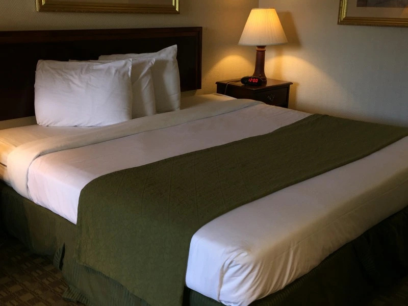 Sawgrass Inn & Conference Center - Chambres