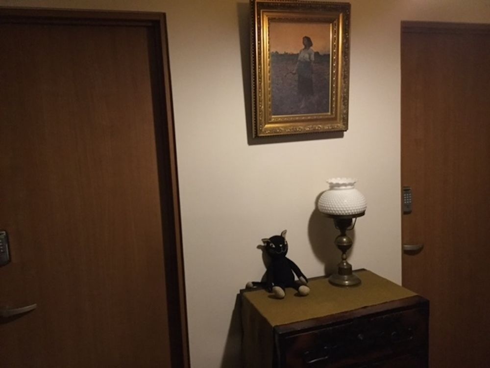 Kyoto guesthouse Kyonoen - Hostel 사진 3