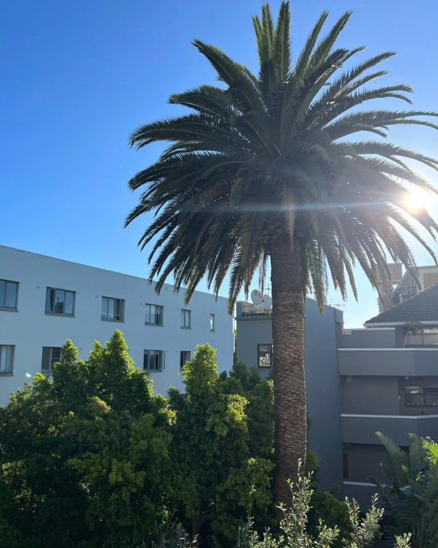 Hotel photo 31