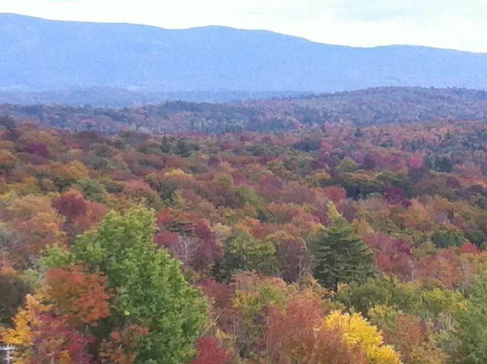 Sun Lodge - фото 15