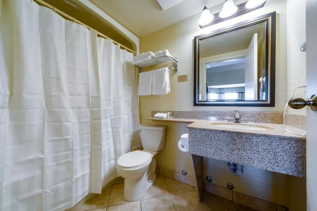 Monte Carlo Inn Barrie Suites - Chambres