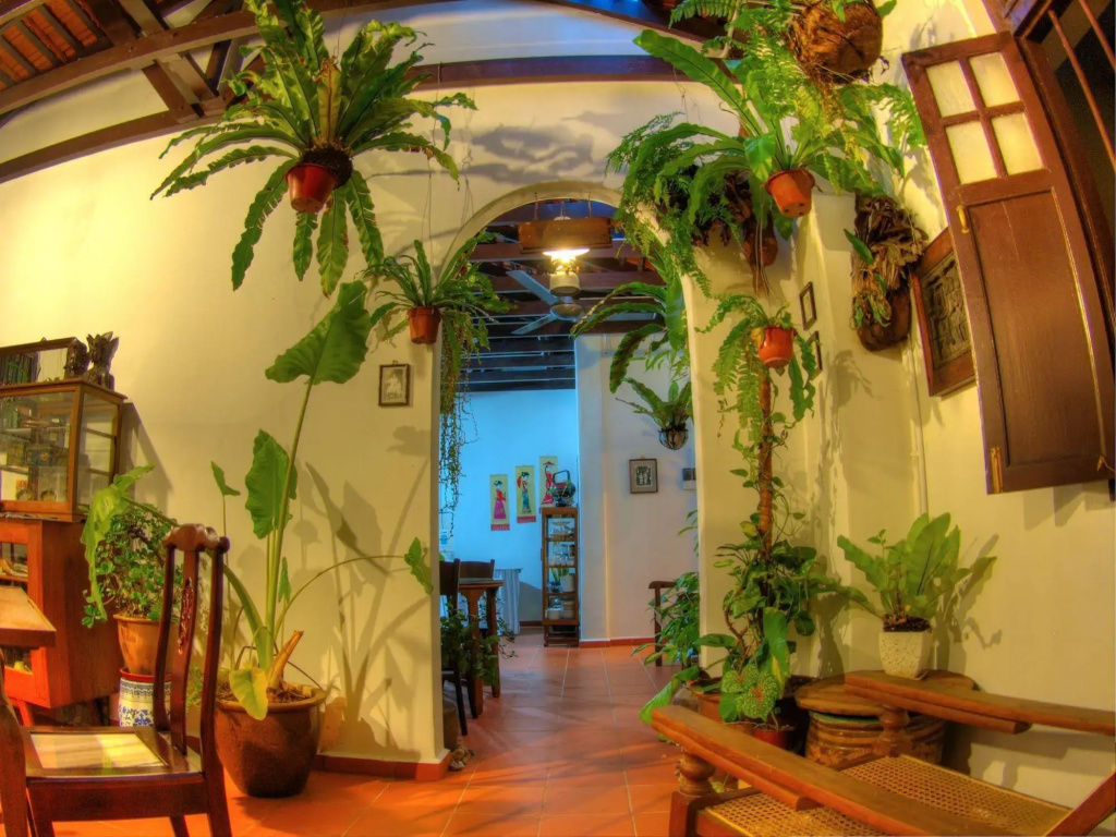 Hotel photo 11