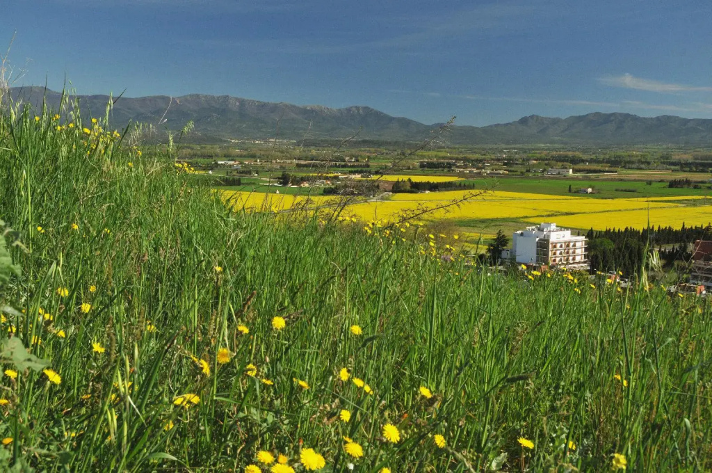 Hotel Empordà - Général