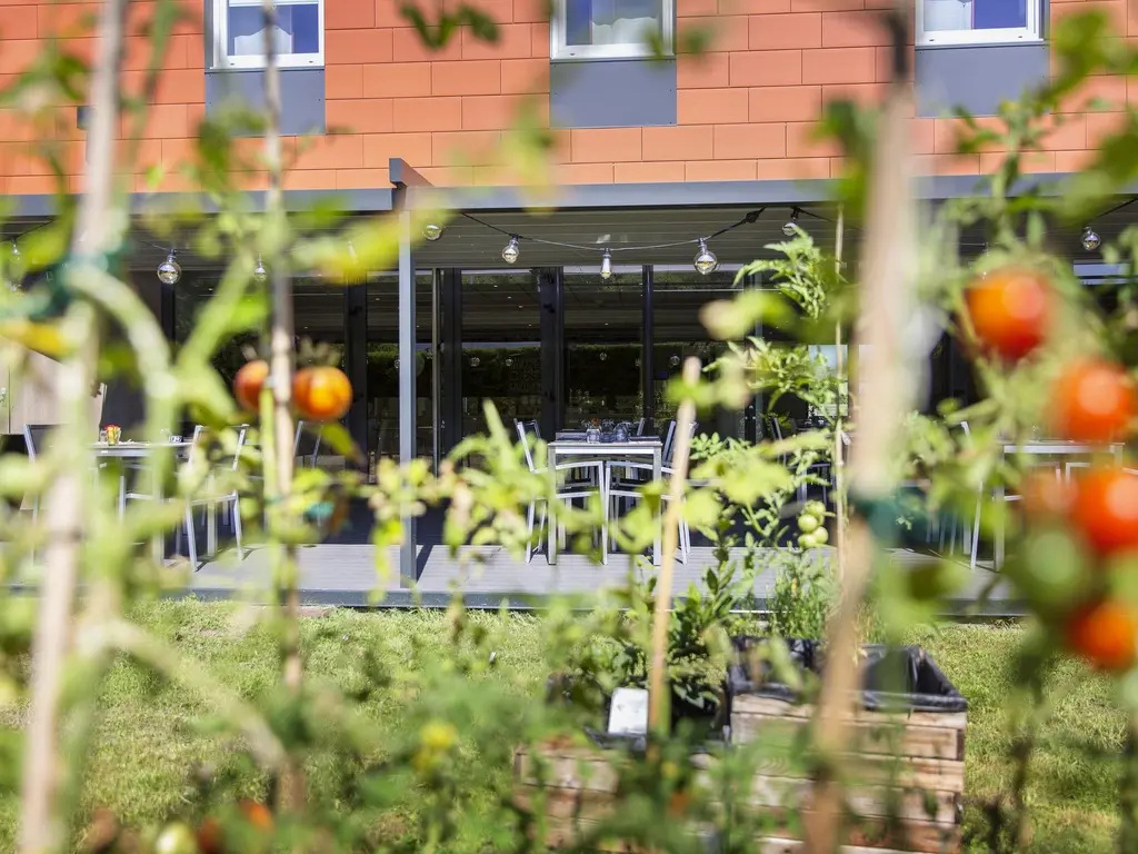 ibis Lyon Est Chaponnay - Général