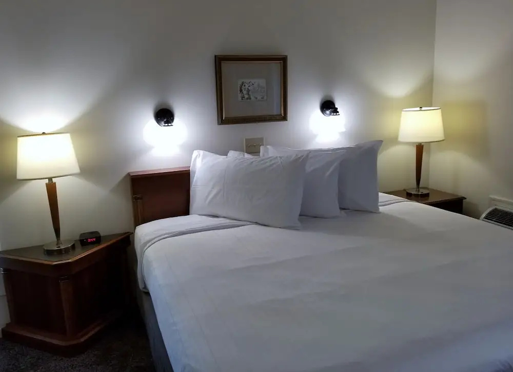Standard Suite