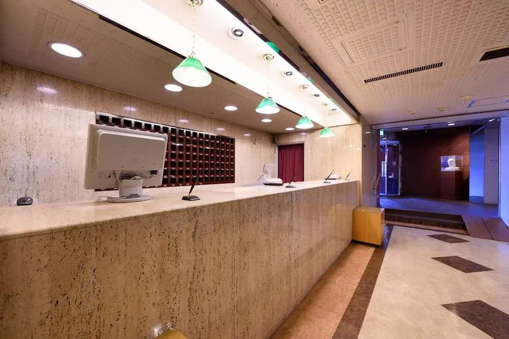 Morioka New City Hotel - Général