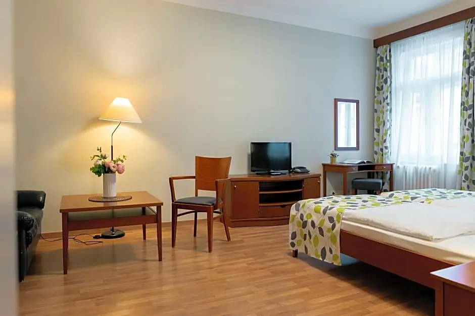 Standard Double room (full double bed)