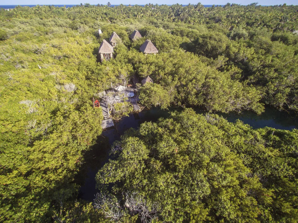 mangleX eco hotel Tulum - Général