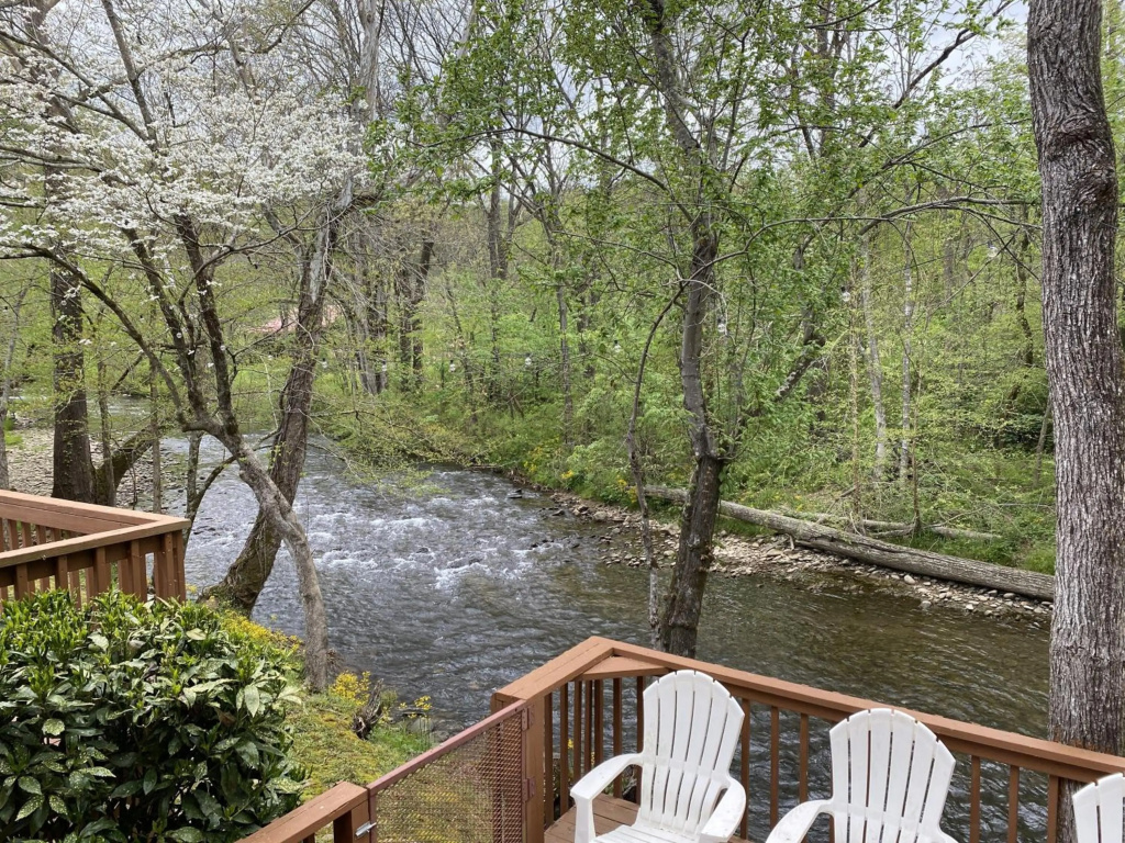 Gray's Place on Cosby Creek - 2 Bedrooms, 2 Baths, Sleeps 6 Home by RedAwning