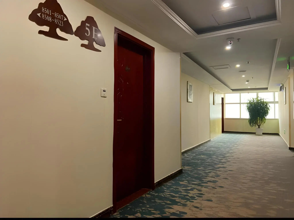 GreenTree Inn Linxi Pingyi MenGYAng Road Express Hotel - Général