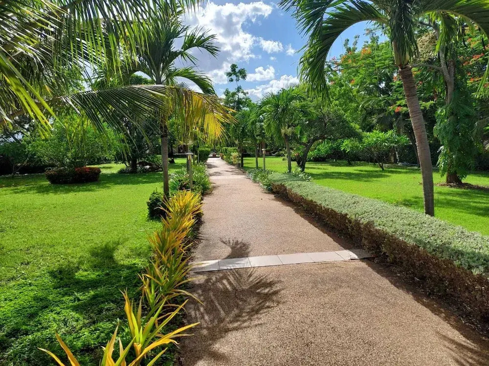 Welcome to our Oasis The Beautiful Bungalow Yellow