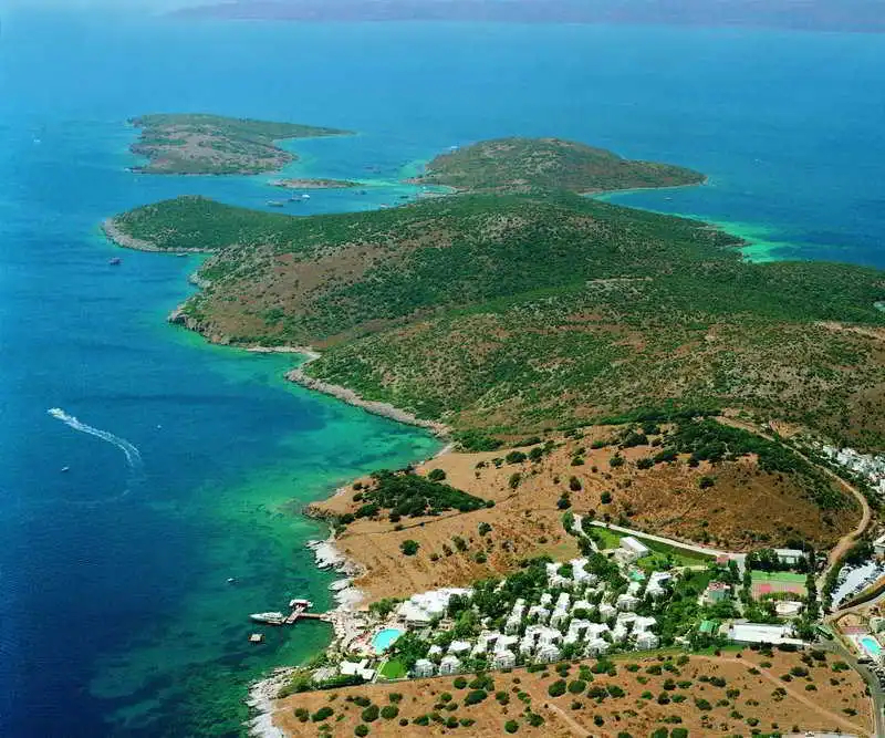 Fuga Fine Times - фото 4