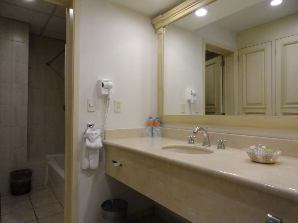 Hotel Real de Minas Bajio - Général