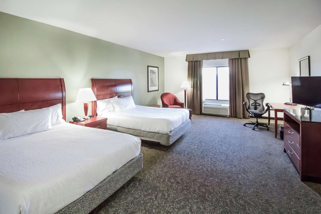 Hilton Garden Inn Avondale - Général