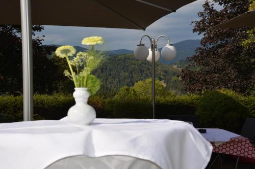 Balcony & Terrace