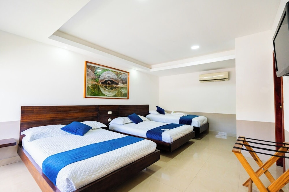Hotel Ninfa - Chambres